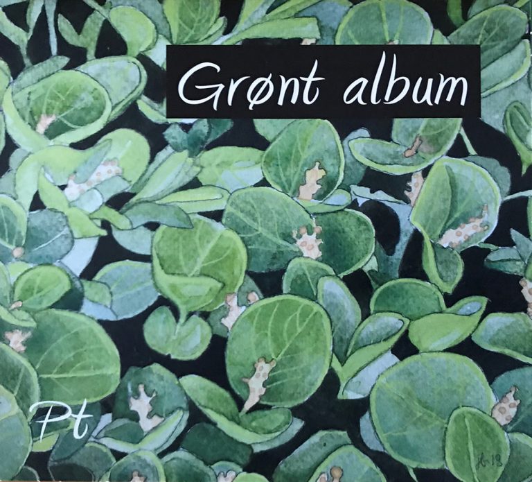 Pt: Grønt album (omslag)